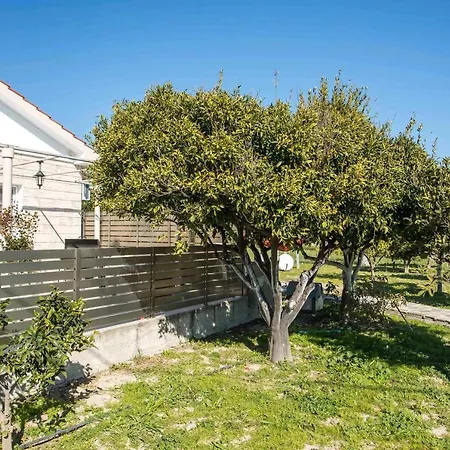 Holiday home Citrus Garden